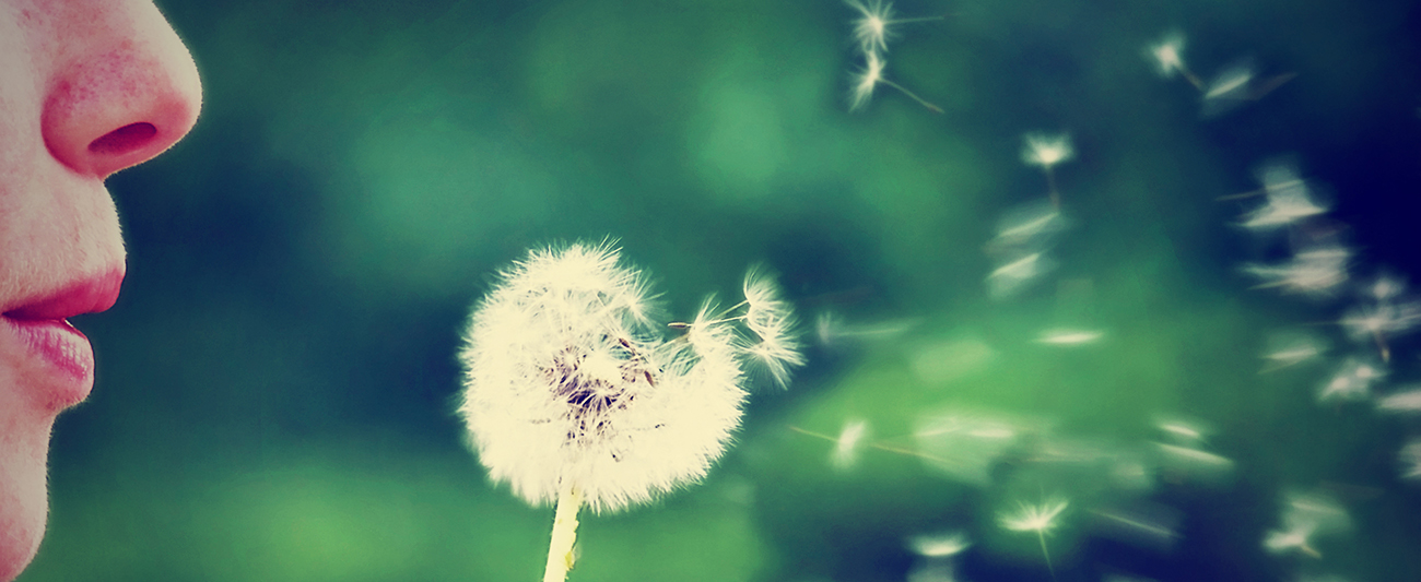 counseling cambridge brookline, yoga therapy