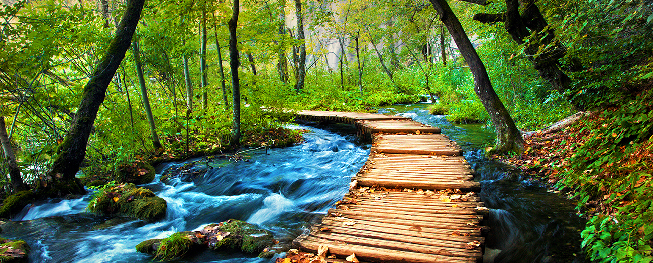 counseling in cambridge brookline, yoga therapy